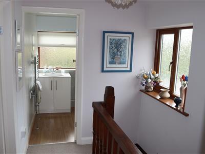 Picture 13